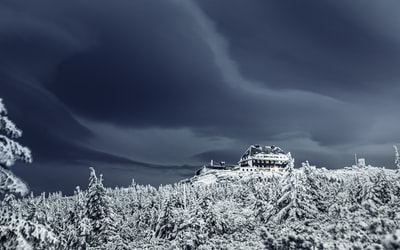 白雪覆盖的树木和房屋的灰度照片